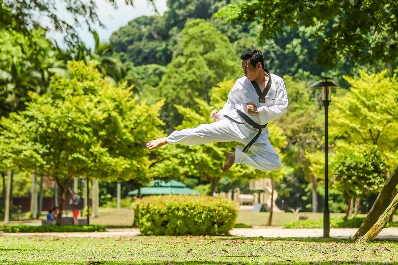 Chinese Martial Arts
